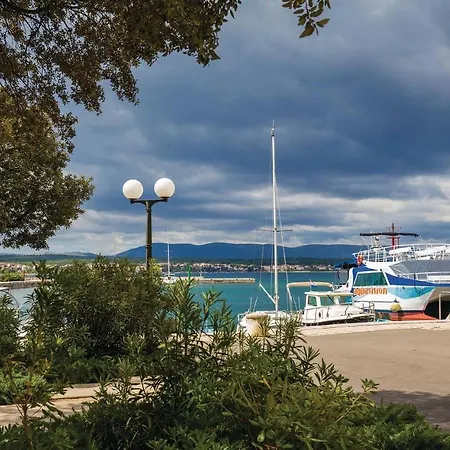 Pet Friendly In Miholjice Lejlighed Sveti Vid-Miholjice